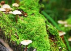 深入解析，试管婴儿现场操作流程全纪录